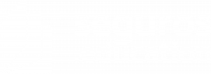 SE_Logo_White